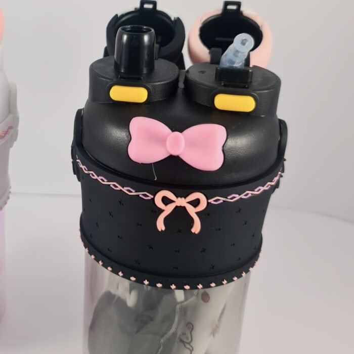 BXS-18 Kuromi and My Melody Water Bottles